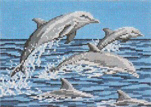 1103-Frolicking Dolphins 265–+